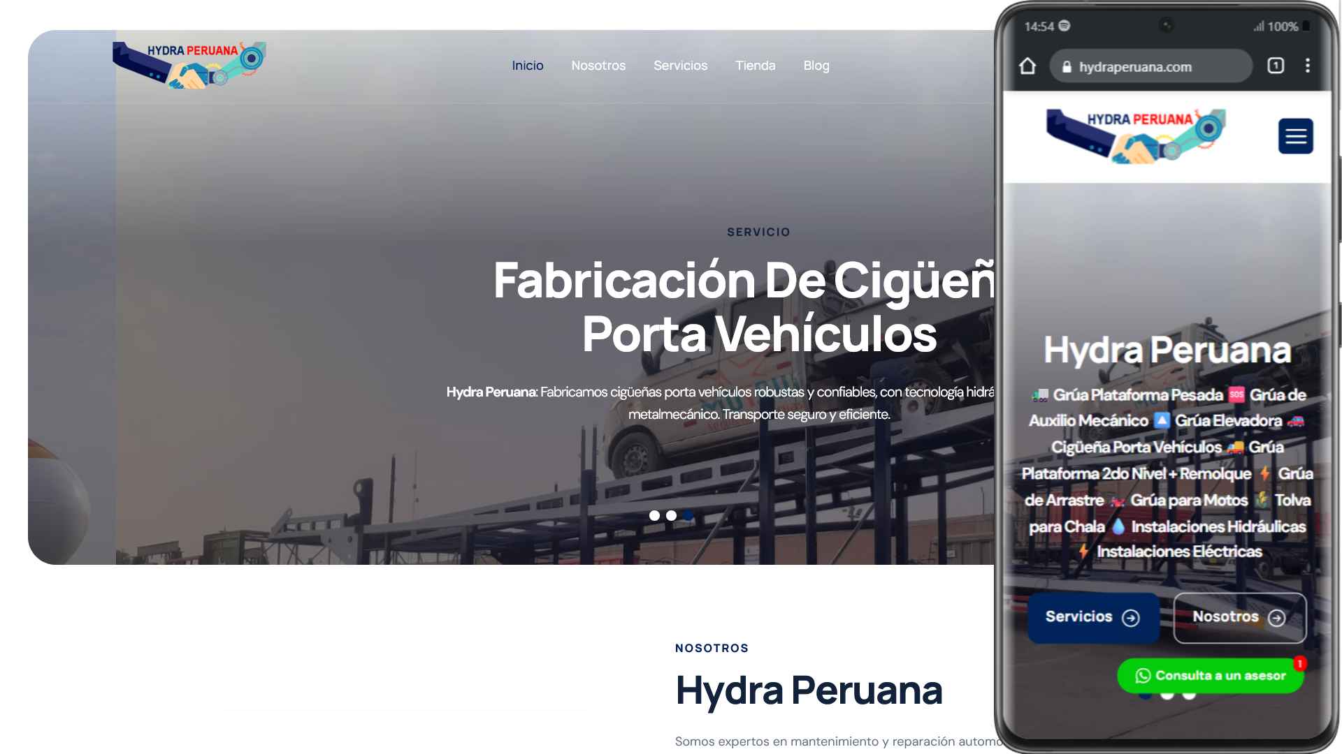 hydraperuana.com